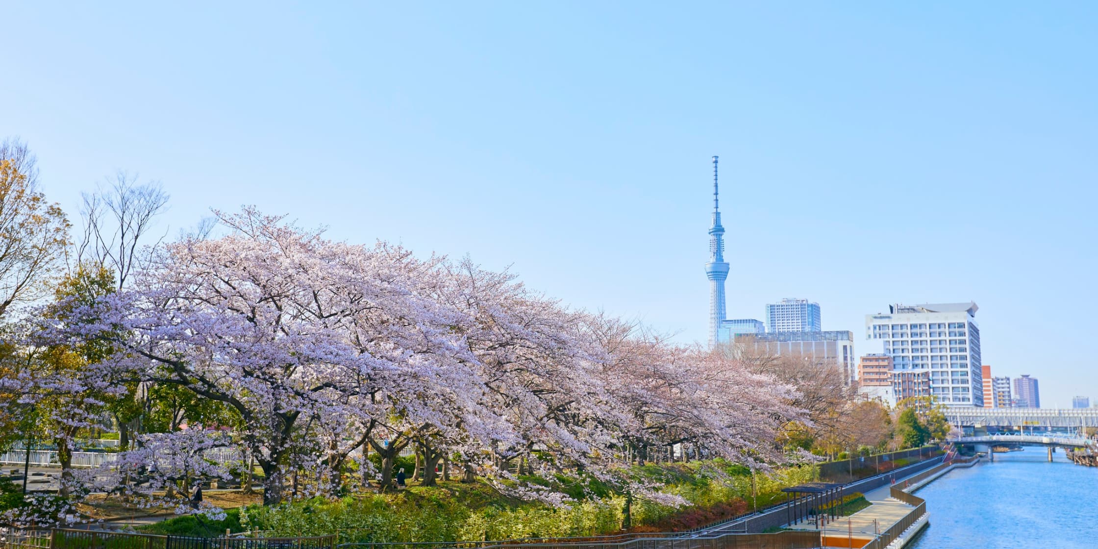 Osaka - Kyoto - Kobe - Mount Fuji - Tokyo - Odaiba Bay