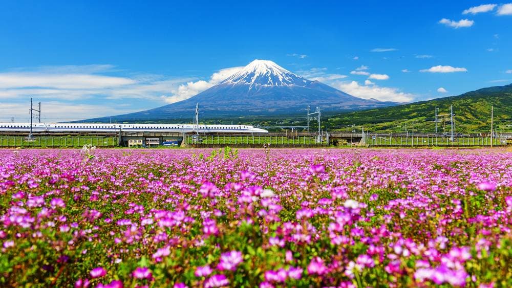 Spring Japan Tour: Narita - Tokyo - Yamanashi - Kyoto - Osaka