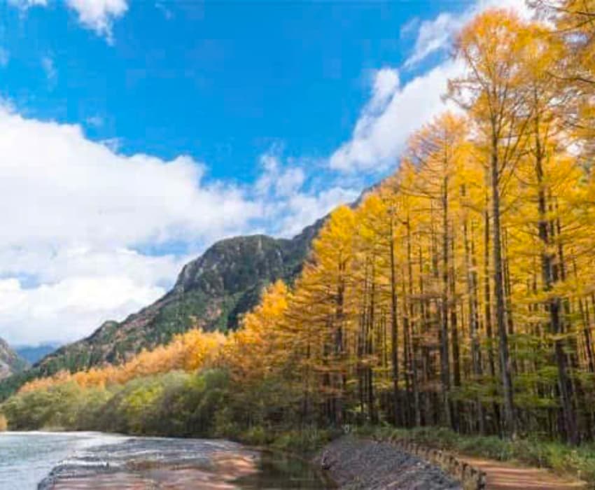 Japan's Golden Route: Osaka – Kyoto – Shirakawago – Fuji – Tokyo – Narita
