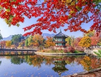 ĐẮM CHÌM SẮC THU XỨ KIM CHI: BUSAN - SEOUL - NAMI 6N5Đ