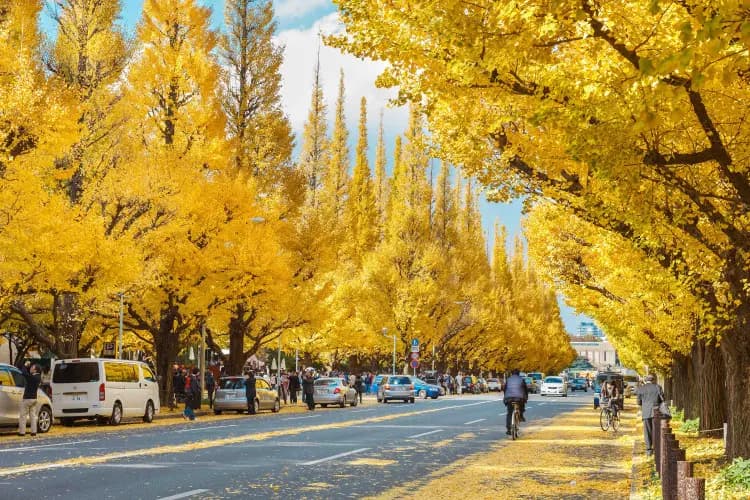 Nagoya – Nara – Osaka – Kyoto – Mount Fuji – Tokyo