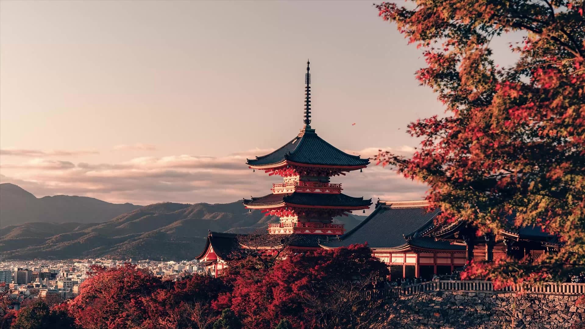 Hanoi - Osaka – Kobe – Kyoto– Fuji Mount – Skiing – Early Cherry Blossom – Tokyo – Hanoi