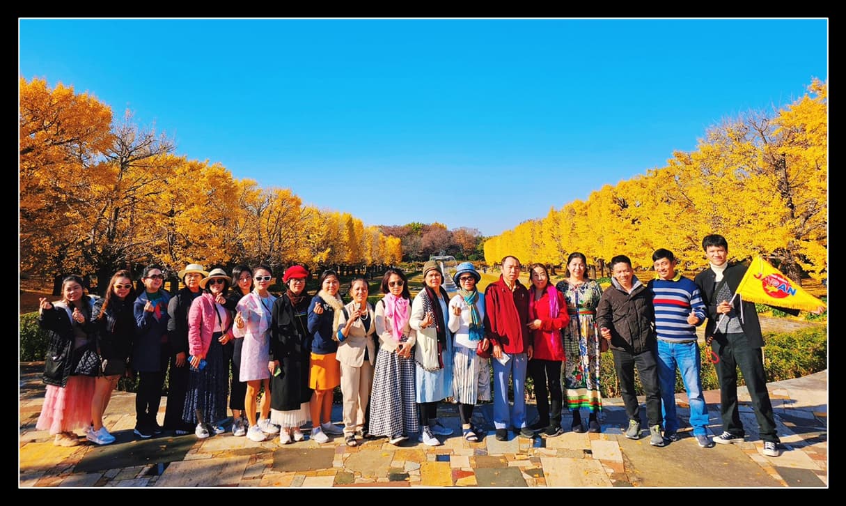 Tour Nhật Bản Cung Đường Vàng: Narita - Osaka - Kyoto - Yamanashi - Tokyo | 5N5Đ