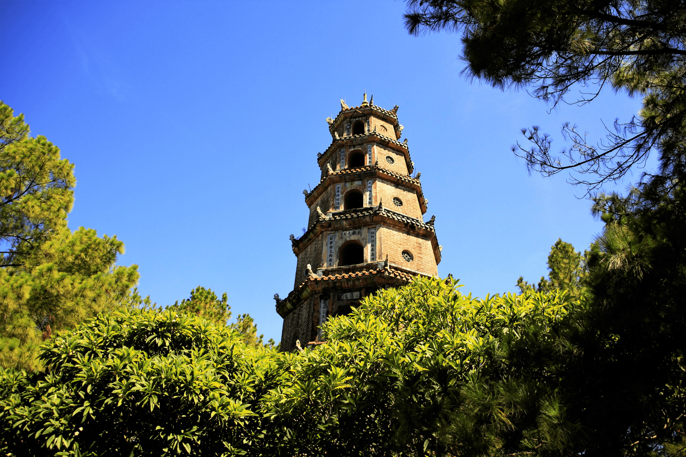 Tour Trong Ngày Từ Đà Nẵng: Tham Quan Cố Đô Huế, Tàu Hỏa Đèo Hải Vân & Bữa Trưa