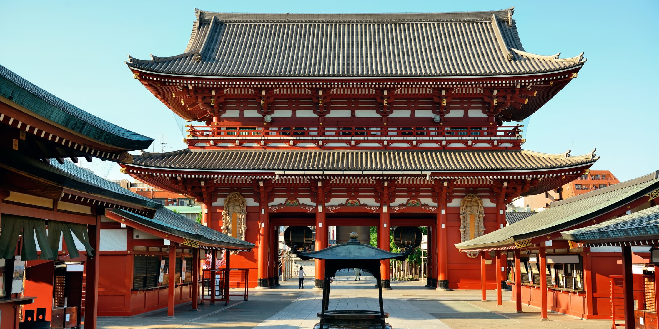 JAPANESE AUTUMN GOLDEN ROUTE (VIETJET FLIGHT)