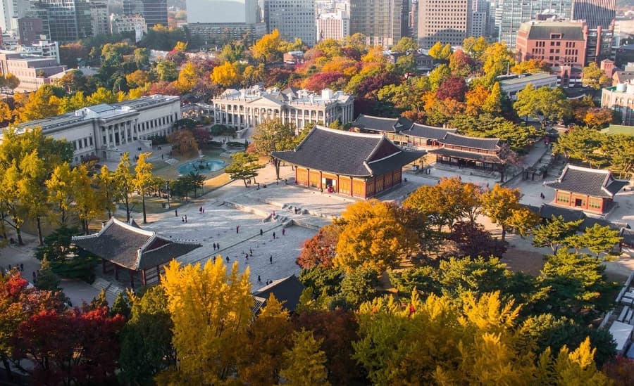 Tour Hàn Quốc Mùa Thu : Seoul Forest - Lotte World 5N4D