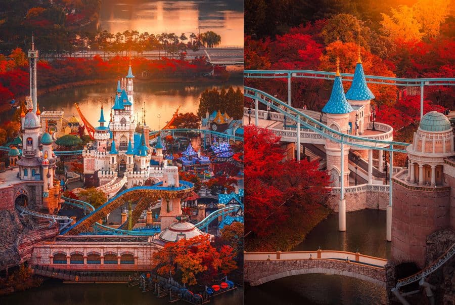 Tour Hàn Quốc Mùa Thu : Seoul Forest - Lotte World 5N4D