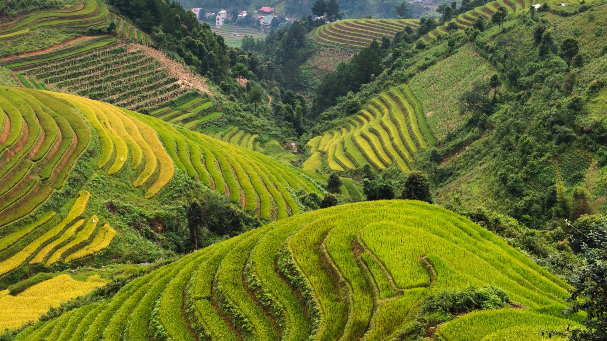 vietnam-halal-tour-6d5n