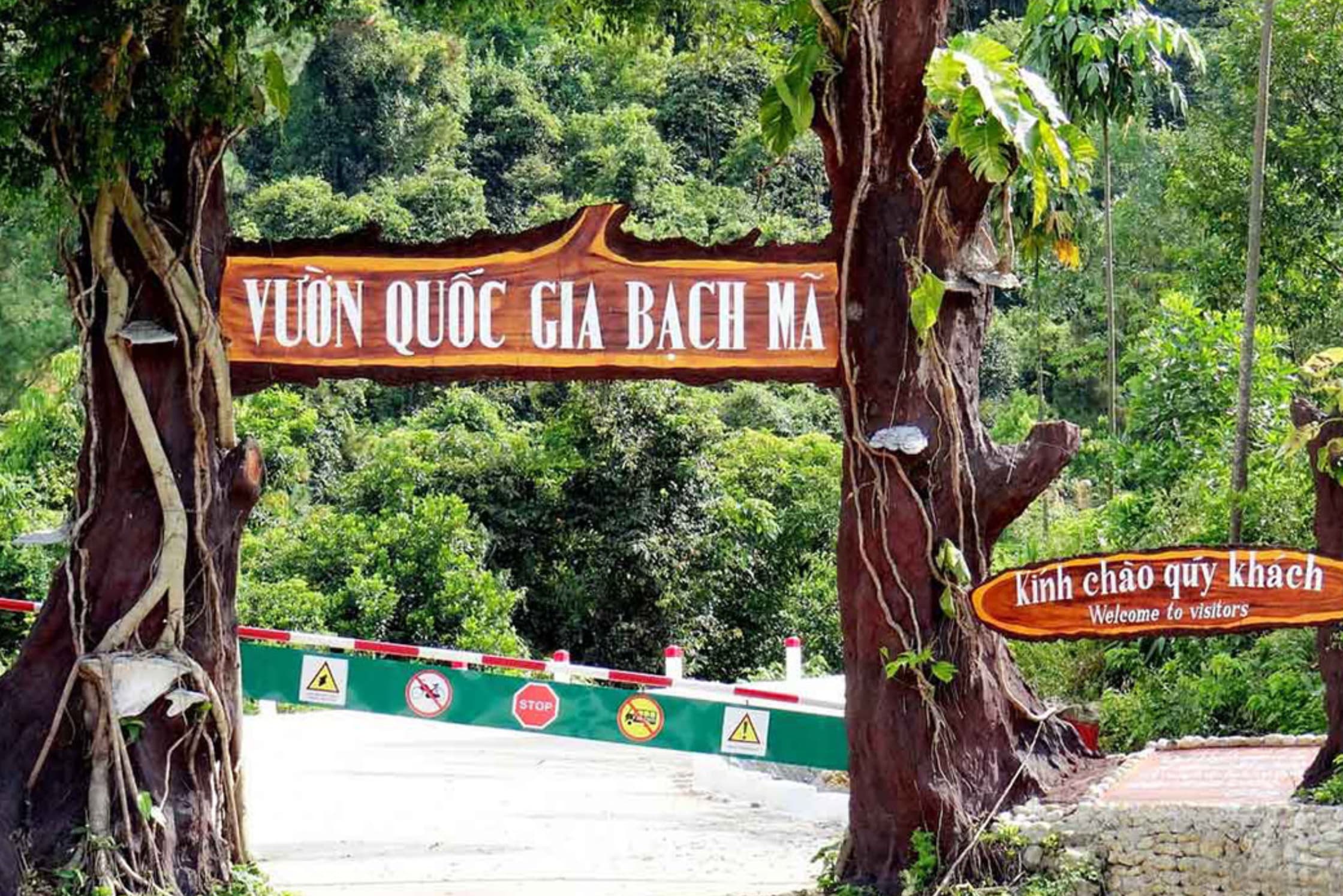 Trekking Vườn Quốc gia Bạch Mã - Tour Trong Ngày từ Đà Nẵng
