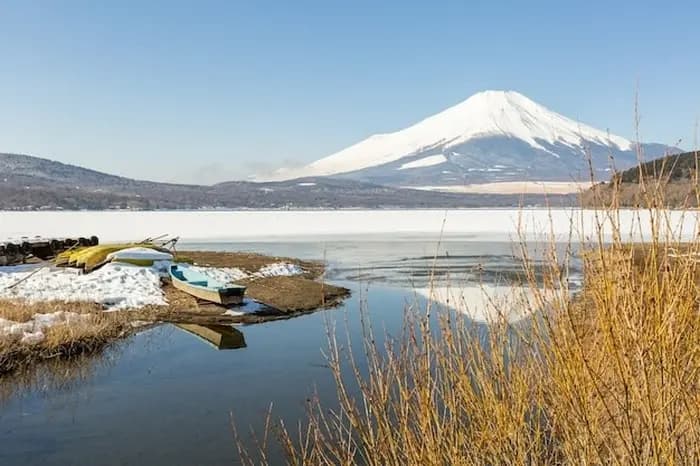 Japan Tour: Tokyo - Yamanashi - Nabana No Sato - Kyoto - Osaka (5 Days, 5 Nights) from Ho Chi Minh City - New Year 2026