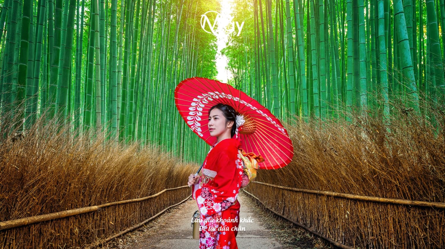 Tour Nhật Bản Mùa Thu 2025: Osaka – Nara – Kyoto – Nagoya – Yamanashi – Tokyo