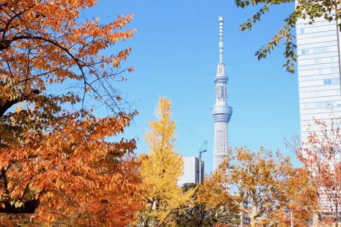 Japan Autumn Tour 2025: Ho Chi Minh City - Osaka - Kobe - Kyoto - Nagoya - Yamanashi - Tokyo (5 Days, 5 Nights) with Vietjet Air