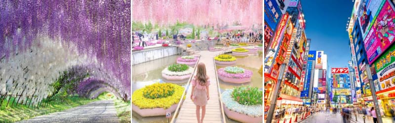 Japan Tour: Kobe | Osaka | Kyoto | Yamanashi | Tokyo