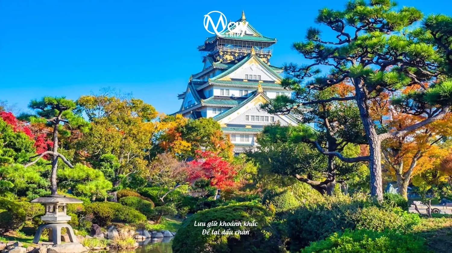 summer-japan-tour-2025-narita--tokyo--fuji--nagoya--osaka--kansai