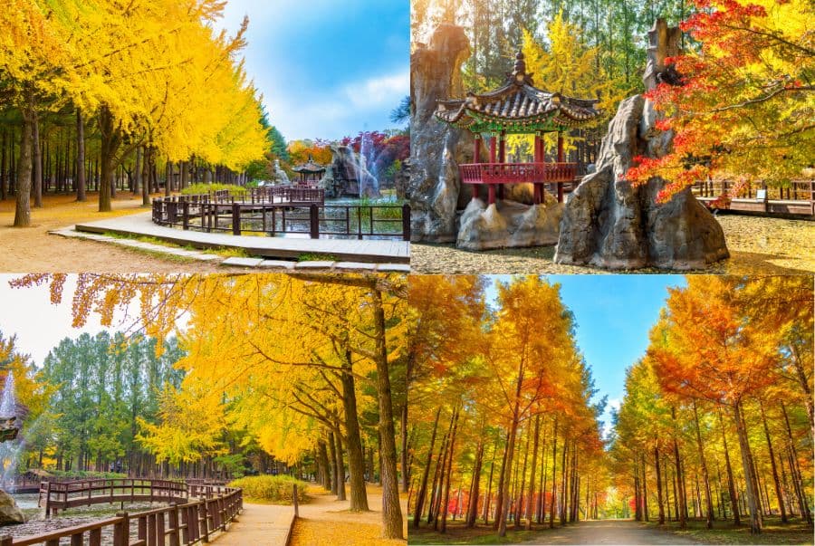 Du Lịch Hàn Quốc Mùa Thu: Seoul - Nami - Everland - Namsan 5N4D