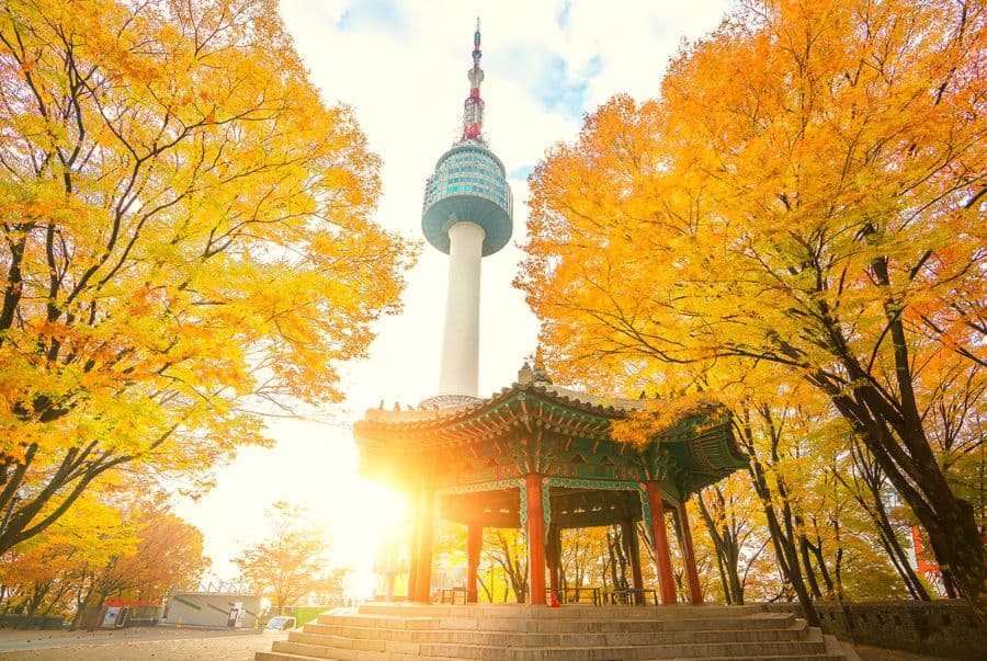 Tour Hàn Quốc Mùa Thu : Seoul Forest - Lotte World 5N4D