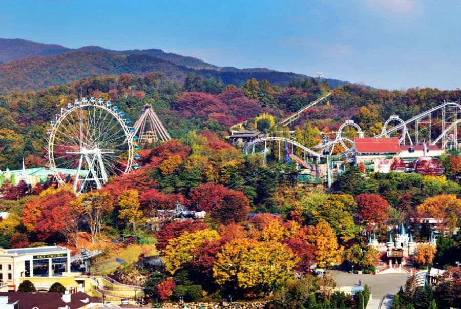 Du Lịch Hàn Quốc Mùa Thu: Seoul - Nami - Everland - Namsan 5N4D