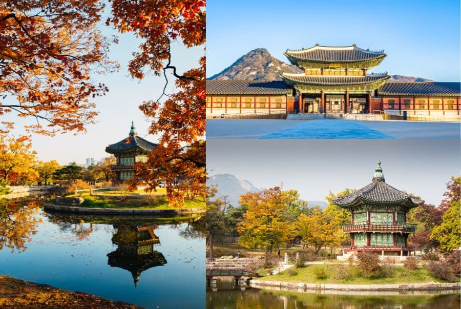 Du Lịch Hàn Quốc Mùa Thu: Seoul - Nami - Everland - Namsan 5N4D