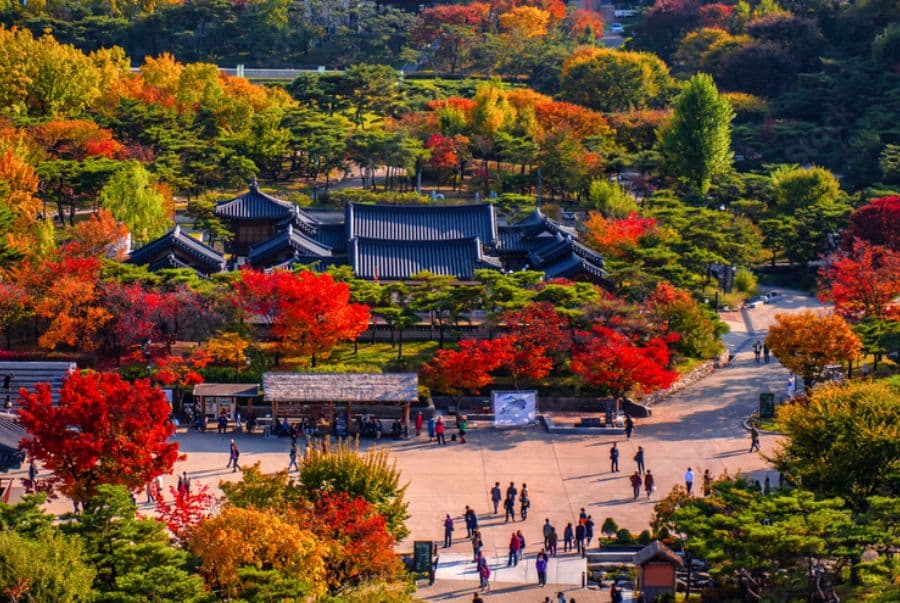 Du Lịch Hàn Quốc Mùa Thu: Seoul - Nami - Everland - Namsan 5N4D