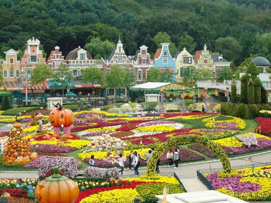 Tour Hàn Quốc Mùa Đông: Seoul - Nami - NamSan - Everland 5N4D
