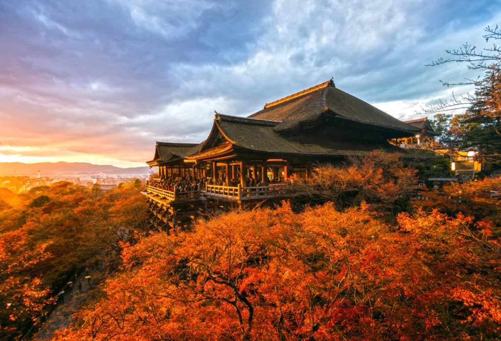 7d5n-hepi-japan-golden-route--free-time-tokyo