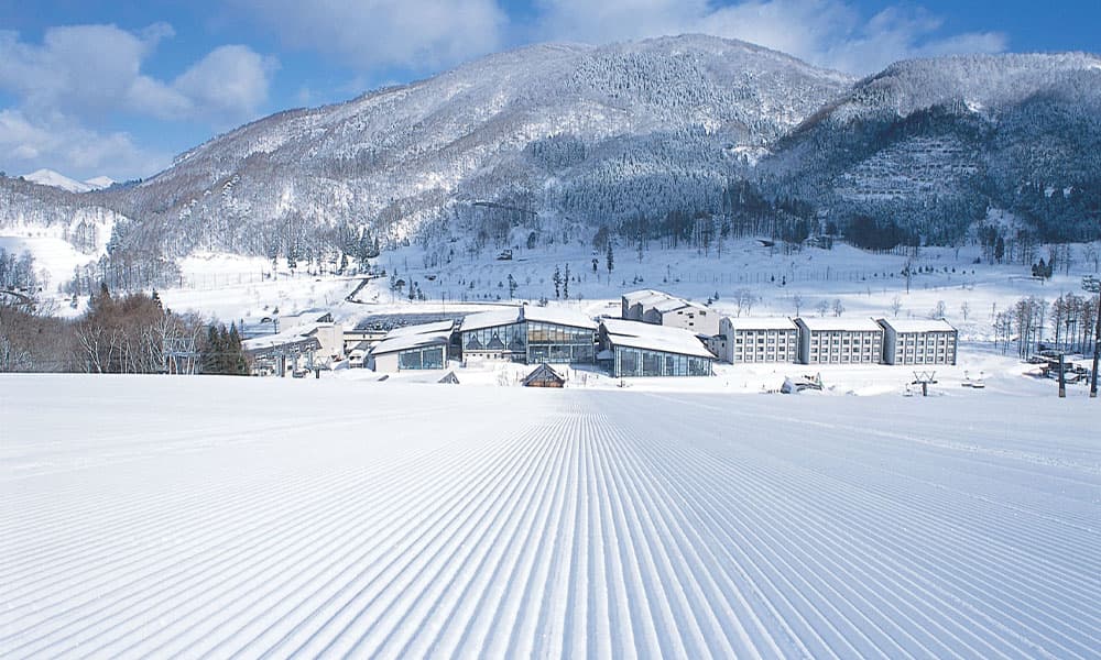WINTER JAPAN GOLDEN ROUTE + 2 THEME PARK