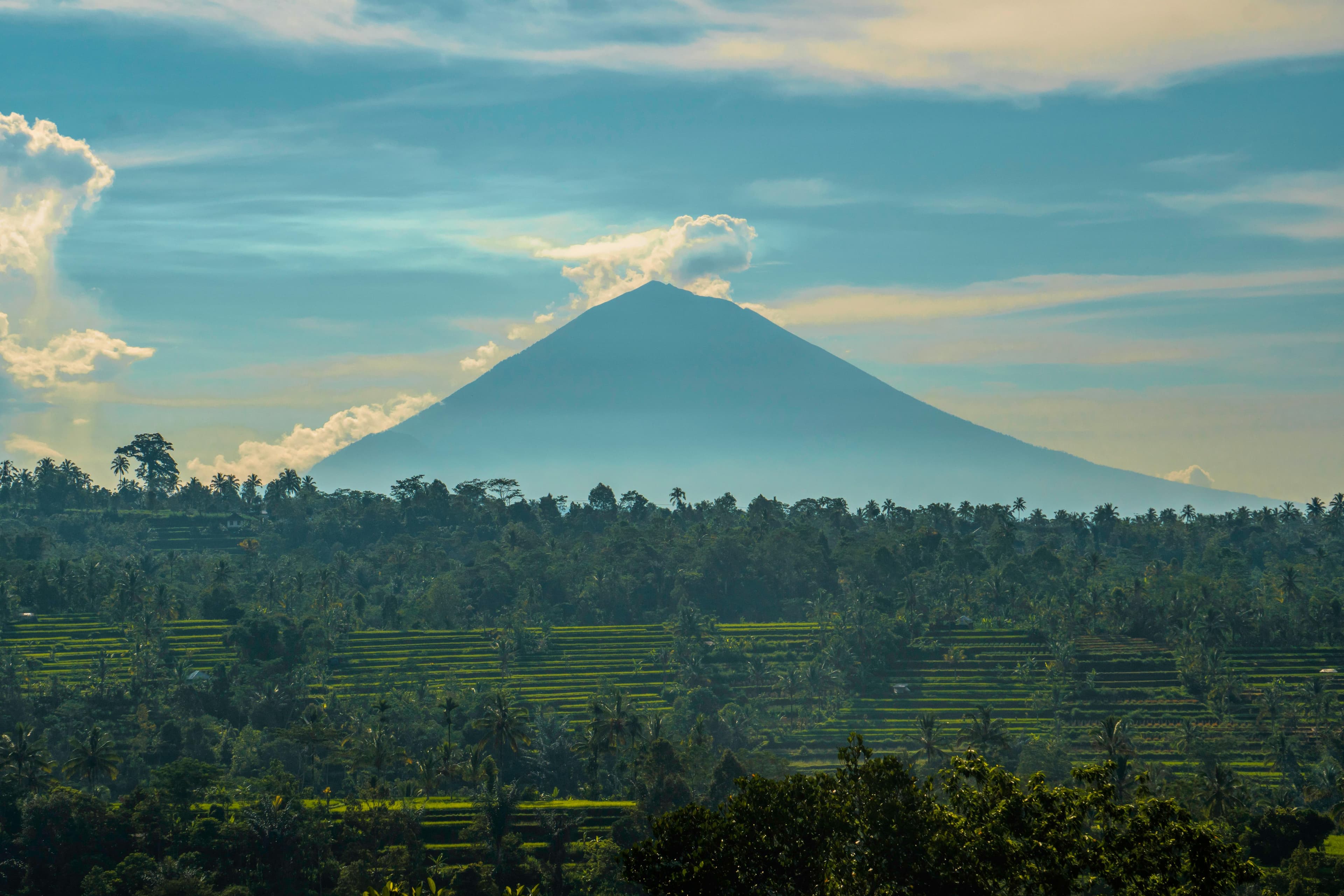 4D3N BALI