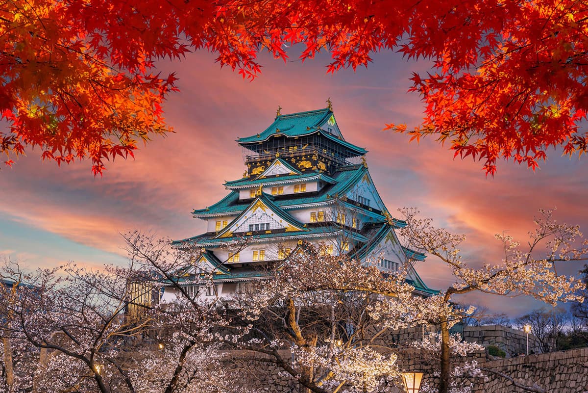 Tour Nhật Bản Cung Đường Vàng: Narita - Osaka - Kyoto - Yamanashi - Tokyo | 5N5Đ