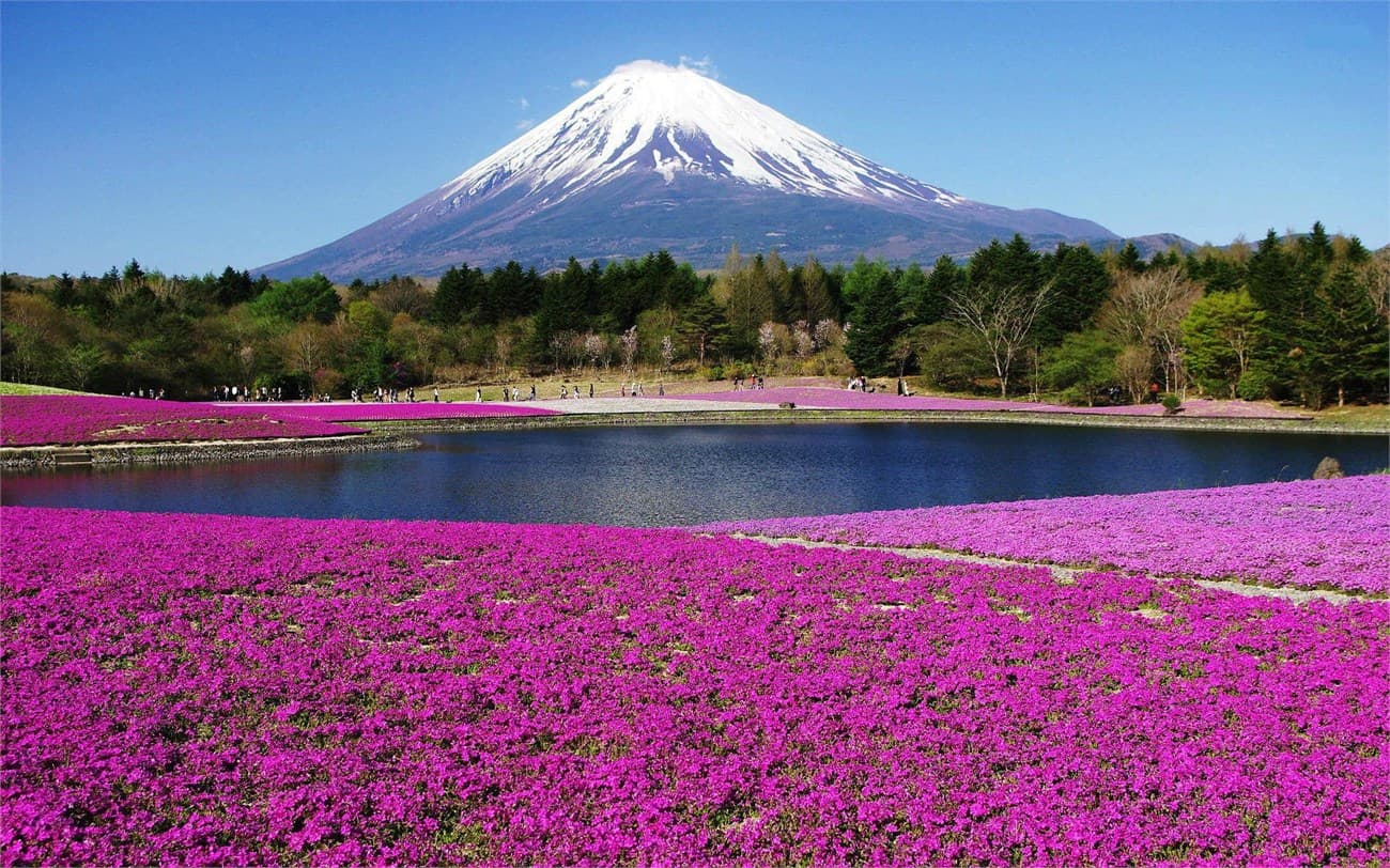 Tour Nhật Bản Cung Đường Vàng: Narita - Osaka - Kyoto - Yamanashi - Tokyo | 5N5Đ