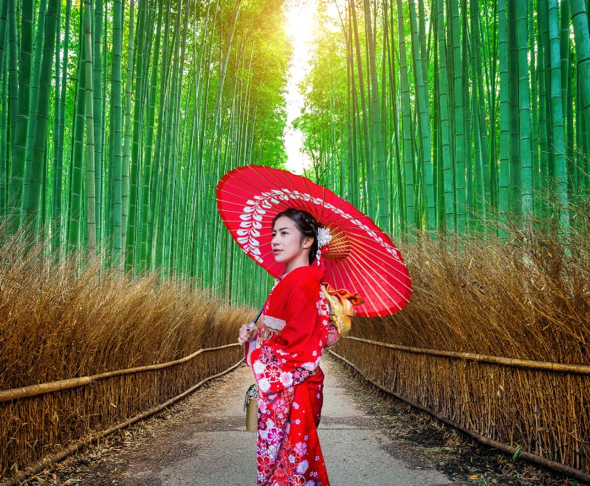 OSAKA – KOBE – KYOTO – FUJI – TOKYO – NARITA ⏰ 6 DAYS 5 NIGHTS