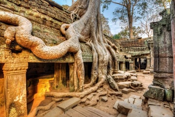 CAMPUCHIA - NGÀY TRỞ LẠI - THAM QUAN SIEM REAP- PHNOM PENH 4 NGÀY 3 ĐÊM - Image - 3929
