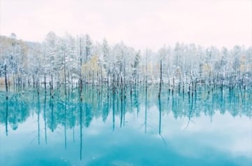 NHẬT BẢN MÙA ĐÔNG: HOKKAIDO - MIỀN TUYẾT TRẮNG THẦN TIÊN - Image - 1246