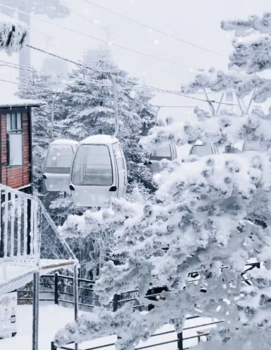 HÀ NỘI – CÔN MINH – NÚI TUYẾT KIỆU TỬ - Image - 2336