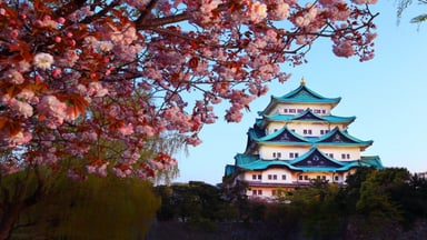 Japan – Double Cherry Blossom Tour 2024 - Image - 405