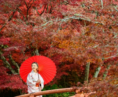 Japan's Golden Route: Osaka – Kyoto – Shirakawago – Fuji – Tokyo – Narita - Image - 531