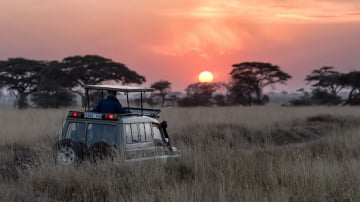 4 DAYS SERENGETI AND NGORONGORO CRATER . (WITH AN EXTRA FULL DAY AT SERENGETI N.P) - Image - 10772