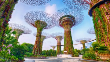 HÀ NỘI – SINGAPORE – MALAYSIA – HÀ NỘI - Image - 9307