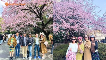 [HOT] Tour Nhật Bản Mùa Hoa Anh Đào Bán Chạy Nhất 2026: Osaka - Kobe - Kyoto - Nagoya - Núi Phú Sĩ - Tokyo 6N5Đ - Image - 9136