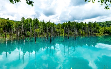 TOKYO - ASAHIKAWA - SAPPORO - OTARU - Image - 567