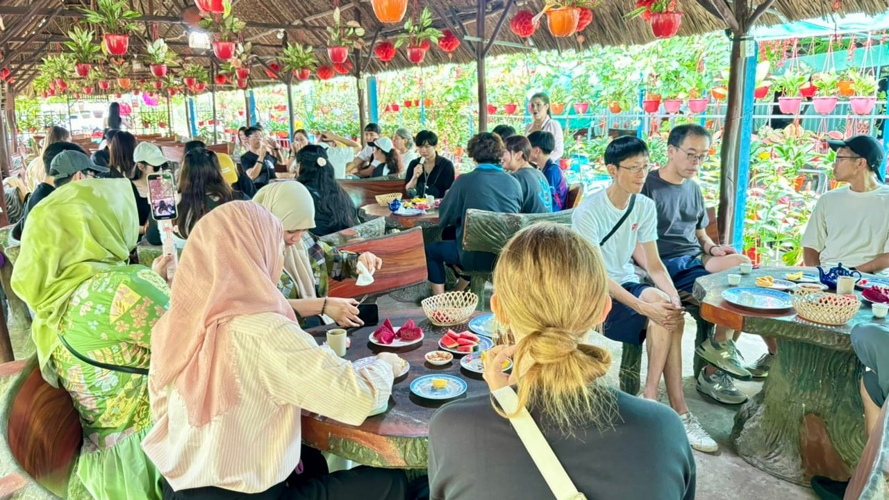 Cu Chi Tunnels and Mekong Delta Day Tour from Ho Chi Minh City