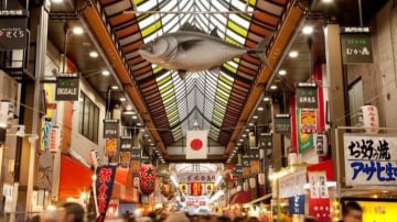 HÀ NỘI – GIFU – NAGOYA – KOBE – KYOTO – OSAKA 5N4Đ BAY VN - Image - 6750