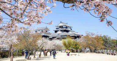 MATSUYAMA – TAKAMATSU – KOBE – KYOTO – OSAKA - Image - 3565