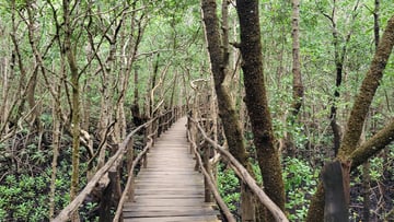 12 DAYS TANZANIA WILDLIFE TO ZANZIBAR BEACH ESCAPE - Image - 7637