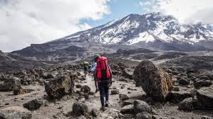 Kilimanjaro Machame  route 6 Days - Image - 3336
