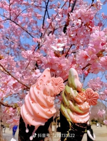 Nhật Bản (Tokyo - Kyoto - Phú Sỹ - Osaka) - Image - 1576