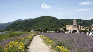 Tokyo – Mount Fuji Japan Discovery Tour 2025 - Image - 376