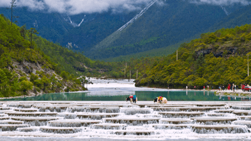 TOUR TRUNG QUỐC – LỆ GIANG – ĐẠI LÝ – SHANGRILA 6N5Đ - Image - 9344