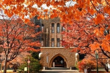 AOMORI – HIROSAKI - HAKODATE – SAPPORO – TRẢI NGHIỆM TRỰC THĂNG NGẮM HỒ TOYA - Image - 1559