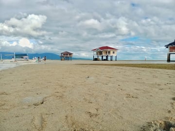 Dumaguete: Manjuyod sandbar tour with dolphin watching - Image - 1065