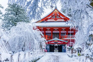 Japan Tour: Tokyo - Yamanashi - Nabana No Sato - Kyoto - Osaka (5 Days, 5 Nights) from Ho Chi Minh City - New Year 2026 - Image - 489